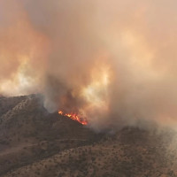 Piden actuaciones urgentes tras el fuego de Puebla del Maestre