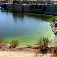 Cae la reserva hídrica en la primera semana de agosto: estos son los ríos más afectados
