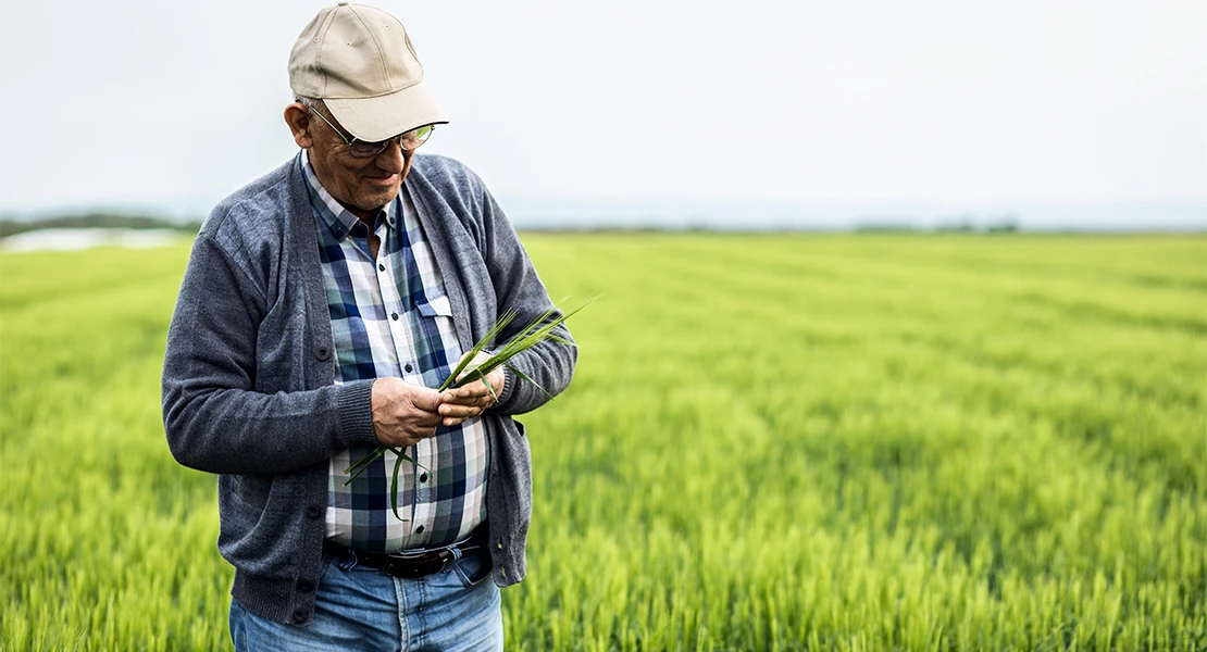 Los agricultores extremeños, "de los más perjudicados en el reparto de ayudas de la PAC"