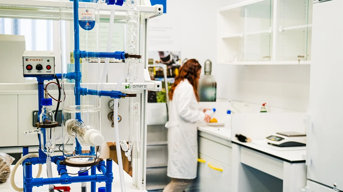 Extremadura accede al programa de investigación científica más prestigioso de la Comisión Europea