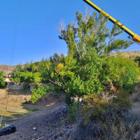 Retiran un vehículo de un pantano