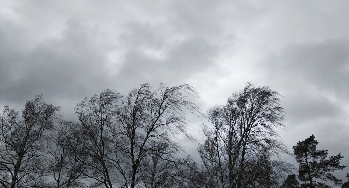 Fuertes rachas de viento
