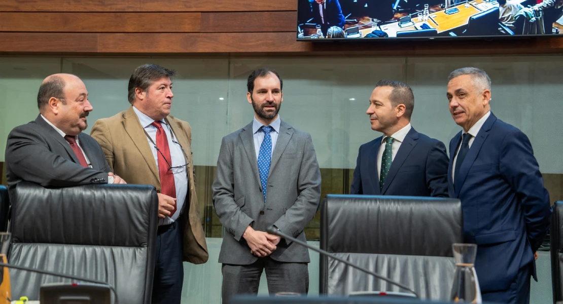 'Jaque mate' de VOX en la Asamblea de Extremadura: bloquea las enmiendas a la totalidad