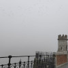 FOTONOTICIA: Precaución en la conducción, Badajoz amanece con bancos de niebla