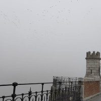 FOTONOTICIA: Precaución en la conducción, Badajoz amanece con bancos de niebla