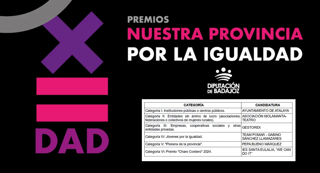Ya se conocen los ganadores de los premios 'Nuestra provincia por la igualdad'