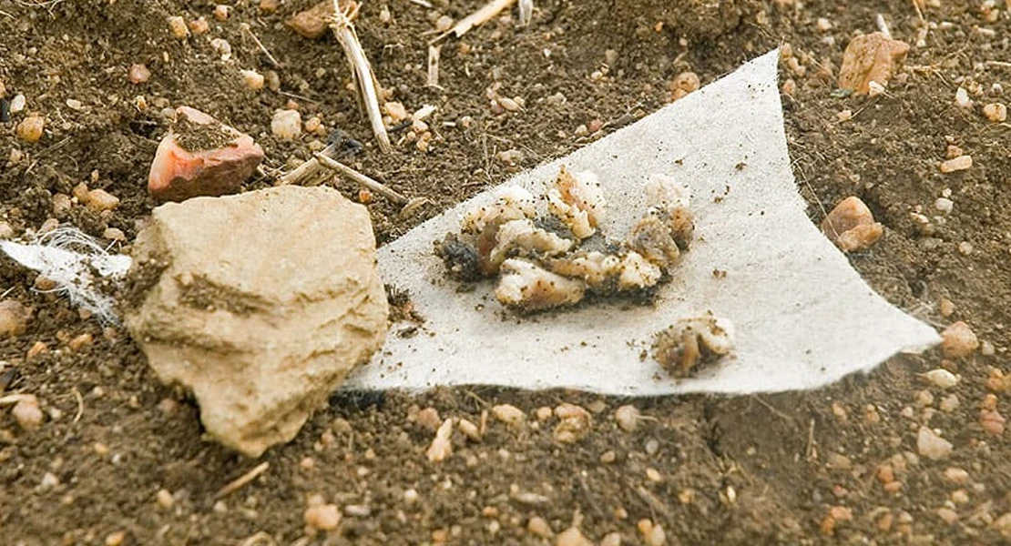 Alertan de cebos envenenados en Extremadura: podría afectar a las personas