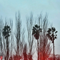 Alerta amarilla en Extremadura: rachas de viento de hasta 70 km/hora