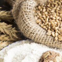 Alerta alimentaria: hallan gluten en un producto que no especificaba su presencia