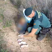 Abandona y deja morir a varios cachorros en el interior de un saco de pienso