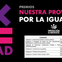 Ya se conocen los ganadores de los premios 'Nuestra provincia por la igualdad'