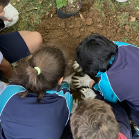 Día de la Educación Ambiental: así es la labor de SEO/BirdLife