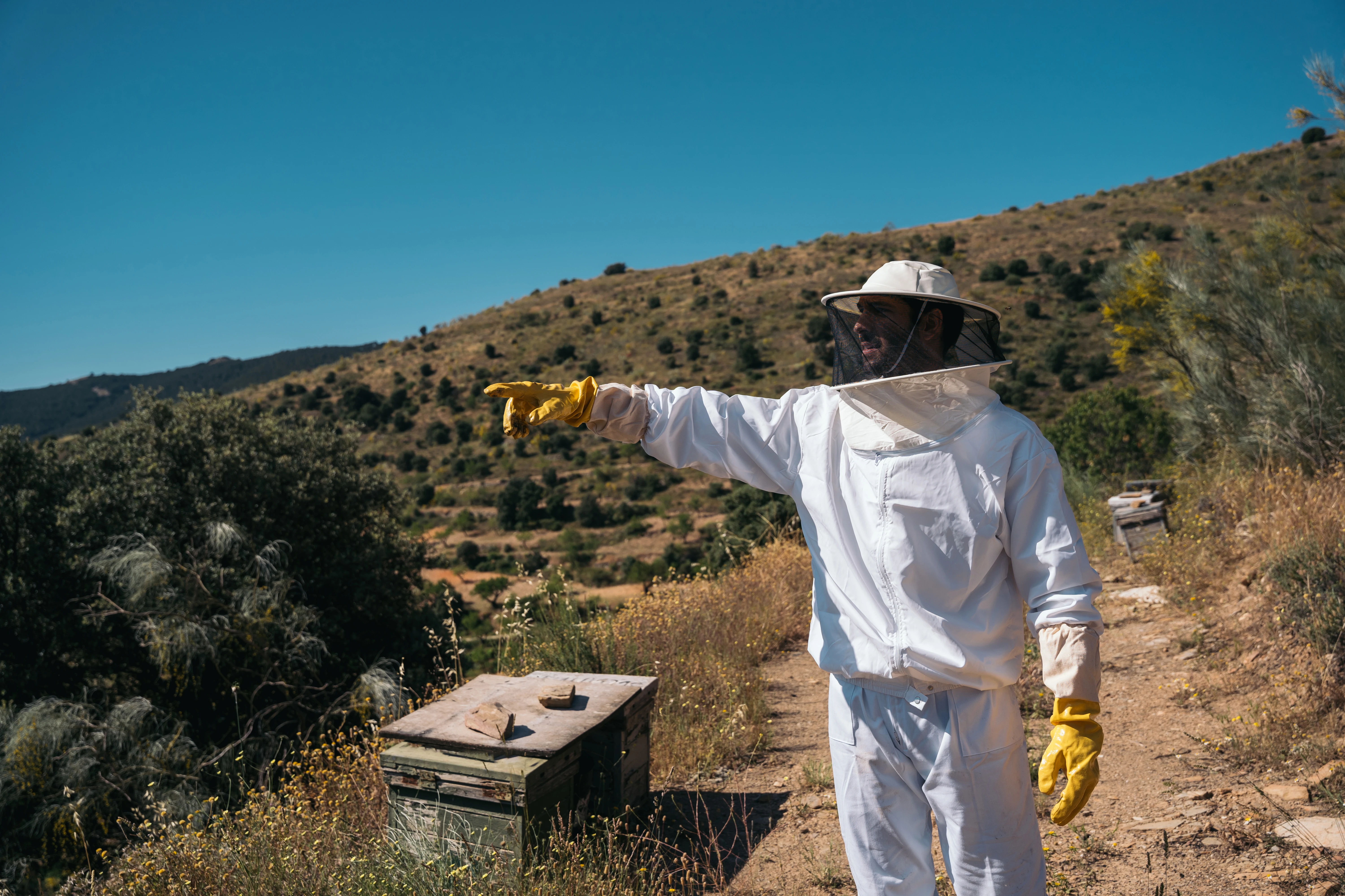En peligro el sector de la apicultura en la comarca de Las Hurdes