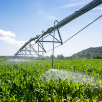 El regadío de Monterrubio de la Serena comenzará a funcionar este 2025