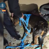 La Policía Nacional rescata un perro que había caído a un pozo en Villanueva