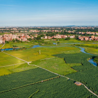 Beneficios de los Espacios Verdes Urbanos: ¿Más Que Una Bonita Vista?