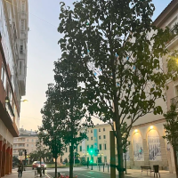 El mes de febrero trae un nuevo cambio de temperaturas