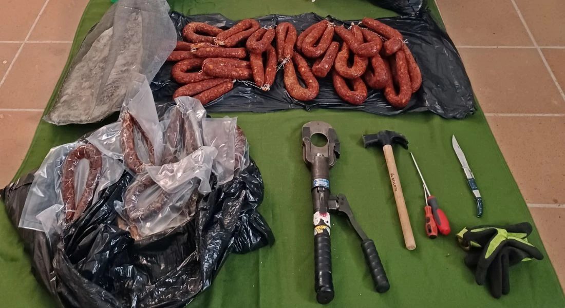 Pillados de madrugada tras robar en una vivienda de Puebla de Alcocer (BA)