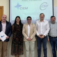 CSIF y CIEM establecen líneas de actuación conjunta en la representatividad del diálogo social