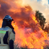 Extremadura refuerza su estrategia contra incendios con la II Mesa del Fuego