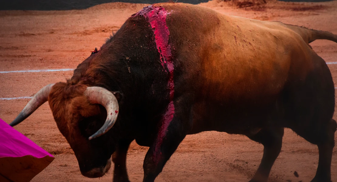 En coma un hombre de 69 años tras ser corneado por un toro