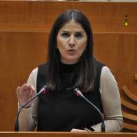 Critican la gestión del PP en sanidad: "La inversión de 20 M€ no se ha traducido en mejoras"