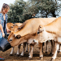 Aprobada una importante rebaja en el IRPF 2024 para 53.400 agricultores y ganaderos extremeños