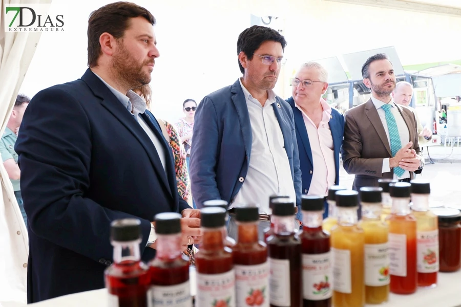 Tradición con arraigo: la feria ganadera de Alconchel celebra 184 años de historia