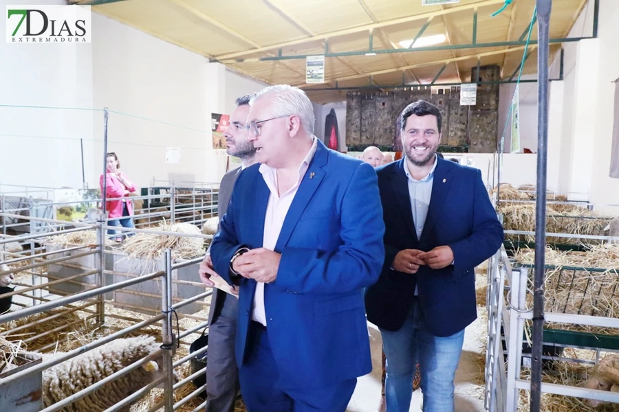 Tradición con arraigo: la feria ganadera de Alconchel celebra 184 años de historia