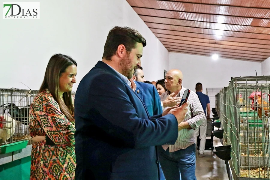 Tradición con arraigo: la feria ganadera de Alconchel celebra 184 años de historia