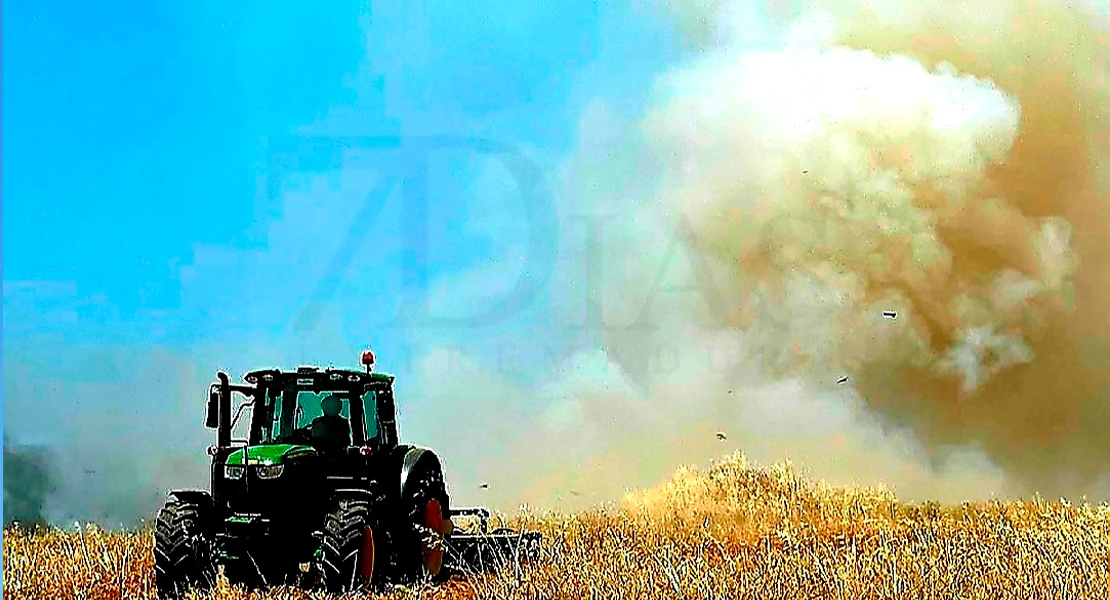 El viento y el calor desatan un virulento incendio en Valverde de Leganés