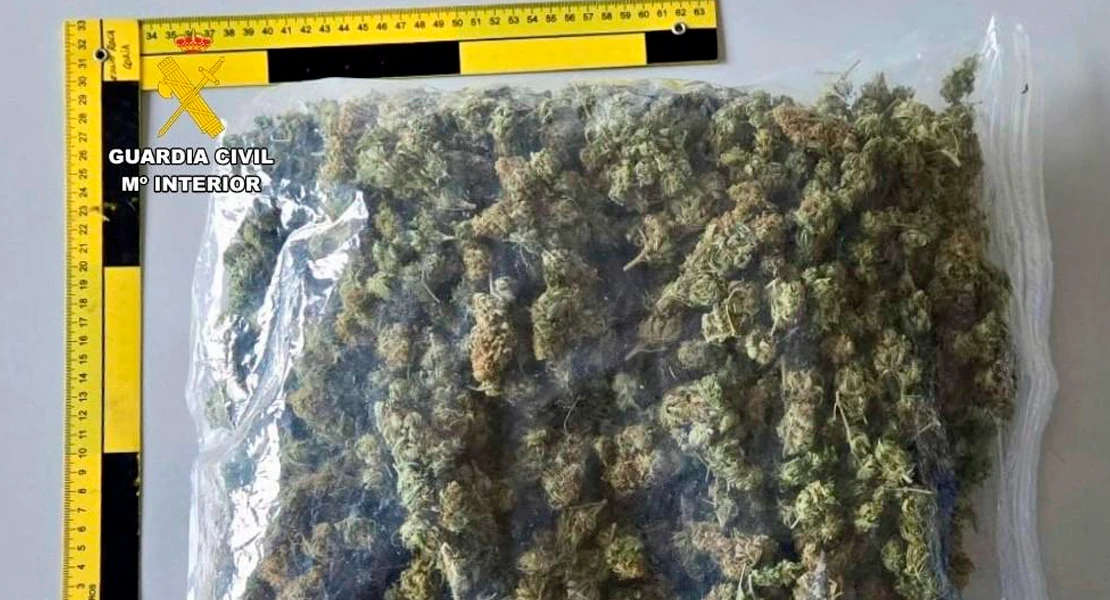 Detenido tras huir de la Guardia Civil en Moraleja: ocultaba 544 gramos de cogollos de marihuana