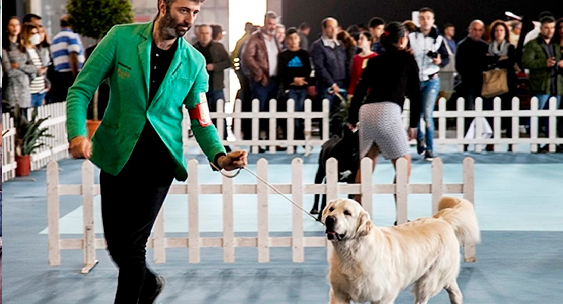 Razas exóticas y jueces internacionales se dan cita en la 44ª Exposición Canina de Elvas y Badajoz