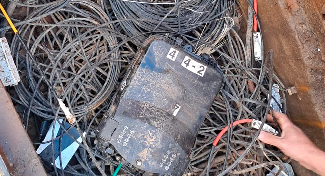 Vecinos de Mérida, sin internet por una plaga de ratas en viviendas sociales