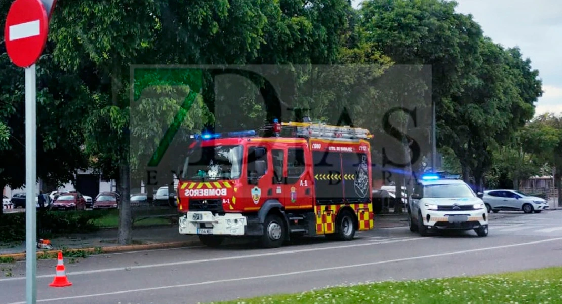 Cae un árbol sobre la vía pública en Valdepasillas