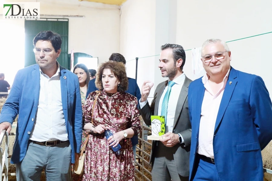 Tradición con arraigo: la feria ganadera de Alconchel celebra 184 años de historia
