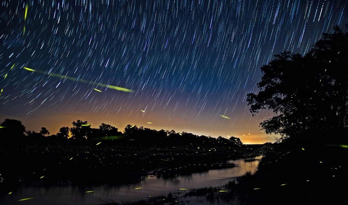 Llega la lluvia de estrellas ‘Acuáridas’: dónde y cuándo verlas
