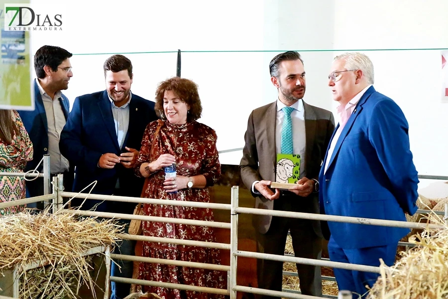 Tradición con arraigo: la feria ganadera de Alconchel celebra 184 años de historia