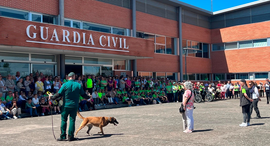 La Guardia Civil de Cáceres despliega su fuerza para los mayores: exhibición con 300 asistentes