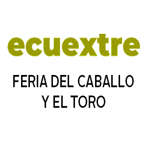 FERIA DE LA BELLEZA