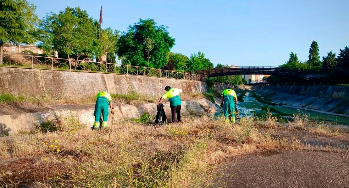Arrancan las labores de limpieza y fumigación en los arroyos Rivillas y Calamón de Badajoz