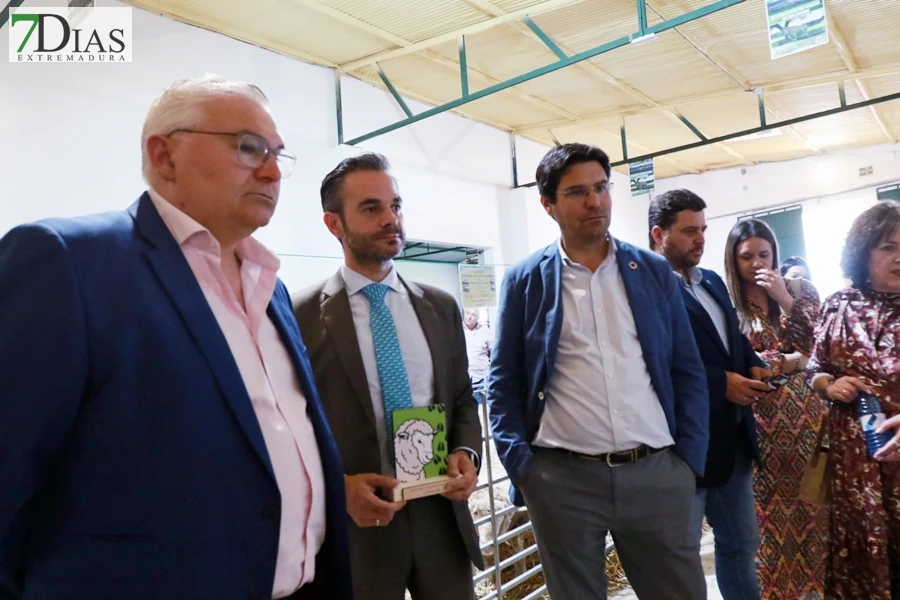 Tradición con arraigo: la feria ganadera de Alconchel celebra 184 años de historia