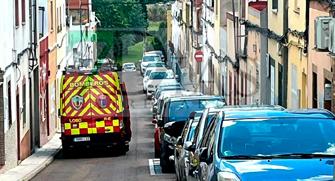 Un enjambre de abejas invade una vivienda en Badajoz