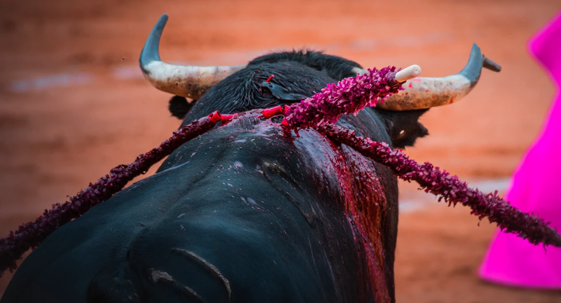 Badajoz presenta los carteles de la Feria Taurina de San Juan 2025 con figuras internacionales