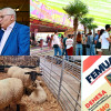 Tradición con arraigo: la feria ganadera de Alconchel celebra 184 años de historia