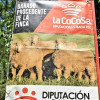 Vive la Trashumancia y la Feria del Queso de Valverde de Leganés: un viaje que da sabor a la tradición