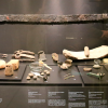 NO PUBLICAR: La  Sala de Protohistoria impulsa el turismo en Badajoz con casi 600 espectadores desde la visita del rey