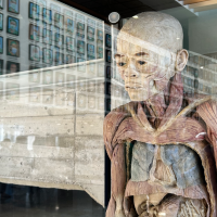 Exponen 12 cuerpos humanos reales en Cáceres: dónde podrás verlos