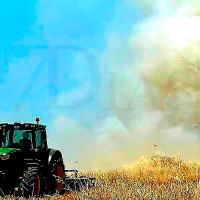 El viento y el calor desatan un virulento incendio en Valverde de Leganés (BA)