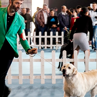 Razas exóticas y jueces internacionales se dan cita en la 44ª Exposición Canina de Elvas y Badajoz